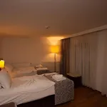 Srf Hotell