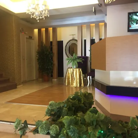 Hotel Srf